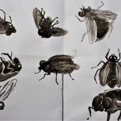 Nodee-Mekhola-1.-_Painting-Of-Dead-Flies_.-Ink_